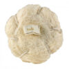 PELOTE DE SISAL