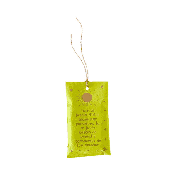 SAVONNETTES PENSEES POSITIVES - PISTACHE