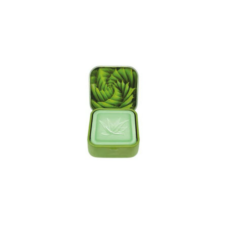 BOÎTE ET SAVON D'INVITÉ ALOE VERA BIO - 25 GR
