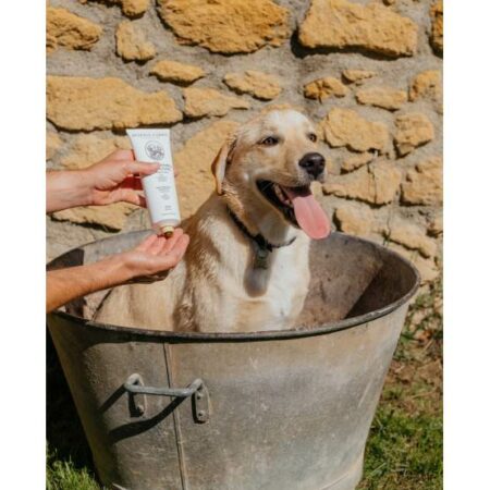 Alternative view of L'INDISPENSABLE SHAMPOOING A L'HUILE D'OLIVE 250ML CHIEN